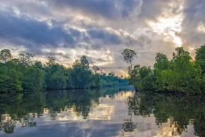 A Journey into Odisha’s Bhitarkanika National Park